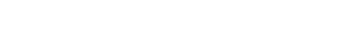 logo Zmenime Holic_logo web zmenimeholic